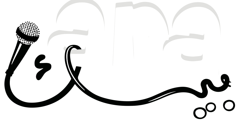  PT